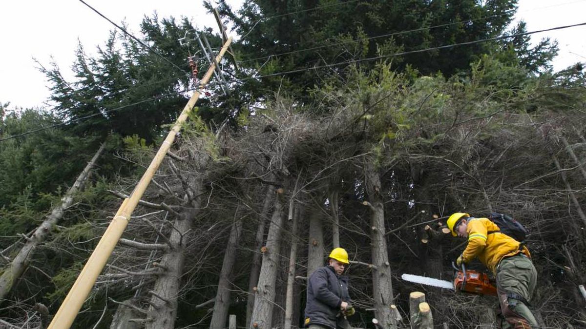 Cortes De Luz Preventivos En Agostura