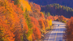 altText(San Martín de los Andes: ideas para disfrutar del otoño en la región)}