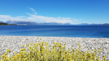 Playa Punta del Este en Bariloche: agua turquesa y un entorno único