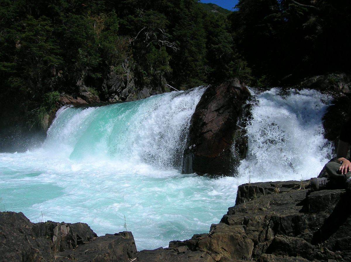 Bariloche: conocé la belleza de Cascada los Alerces