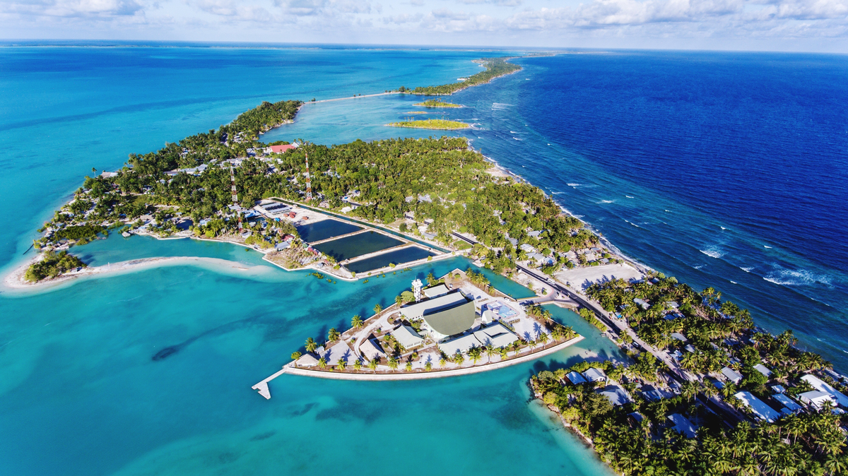 Historia: Kiribati, el primer país en recibir el año nuevo