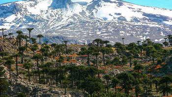 Neuquén despliega todo su potencial turístico en vacaciones de invierno