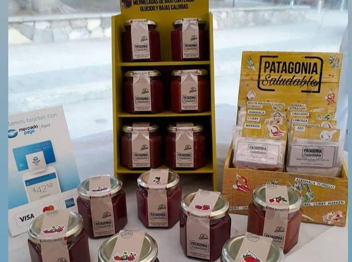 Patagonia Saludable: El emprendimiento sanmartinense que apuesta a lo natural y bajo en calorías