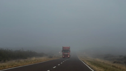 altText(Recomendaciones para conducir durante jornada con neblinas)}