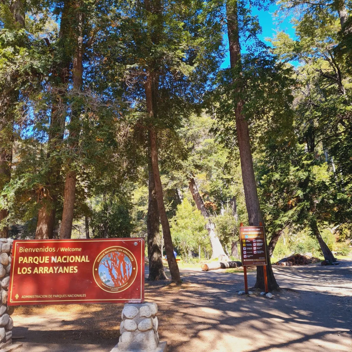 La reapertura fue informada por la Unidad de Gestión Operativa Noroeste en Villa la Angostura.