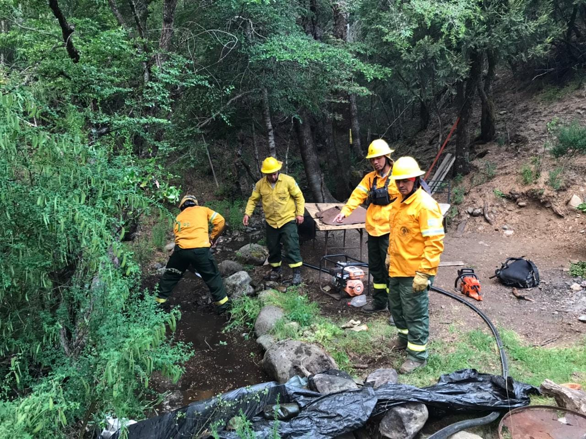 Incendios Forestales: Bomberos Neuquinos asisten a Bariloche