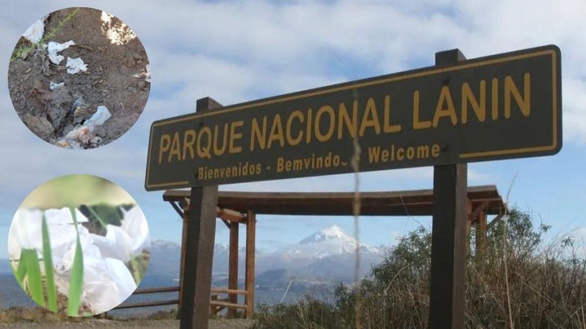 Parque Nacional Lanín: El papel higiénico usado es basura