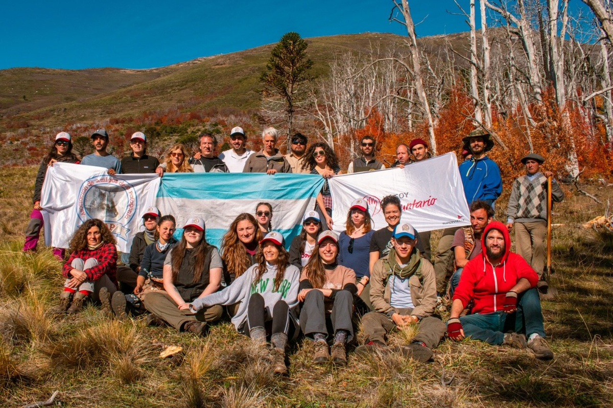 Parque Nacional Lanín: Finalizaron una nueva plantación