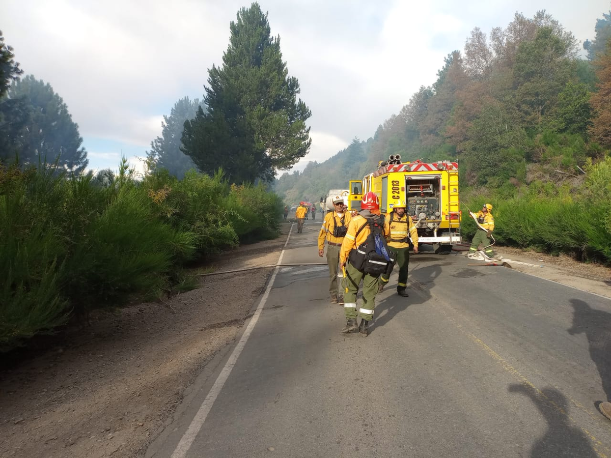 San Martín: incendio forestal en Los Radales
