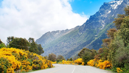 altText(Paseos otoñales imperdibles para disfrutar en Bariloche y Dina Huapi)}