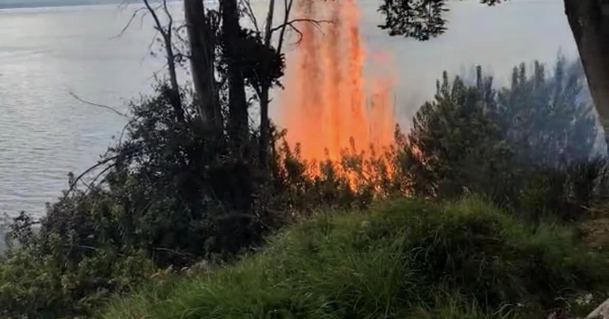 Villa La Angostura: Alarma por incendio forestal 