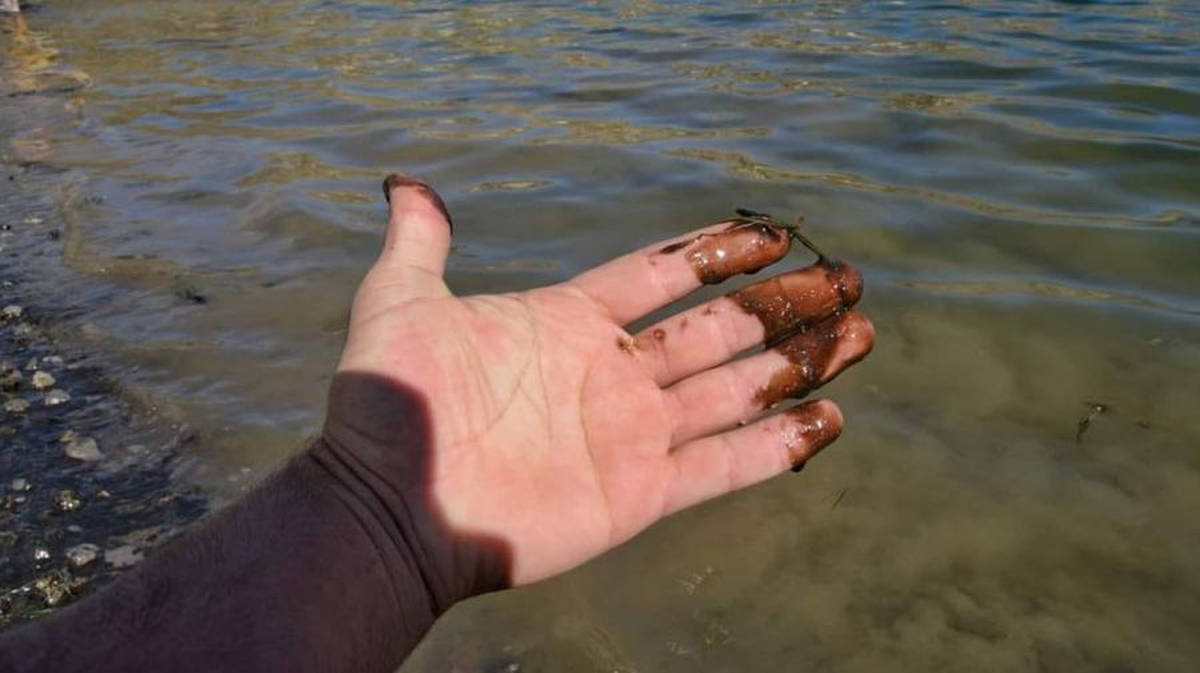 Neuquén: prohiben la pesca en una laguna por contaminación