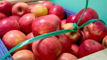 La Provincia del Neuquén fortalece la alimentación saludable en las escuelas