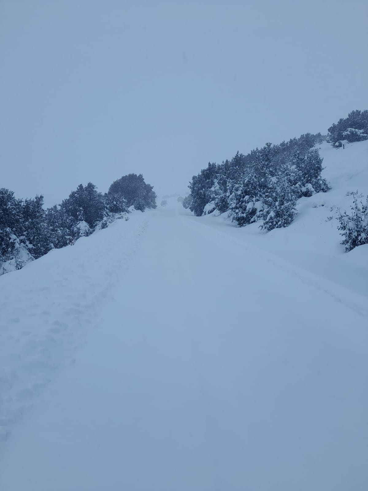 Alerta amarilla por nevadas en la región