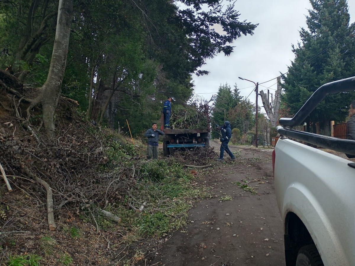 Angostura: Reparan daños y caída de árboles por el temporal