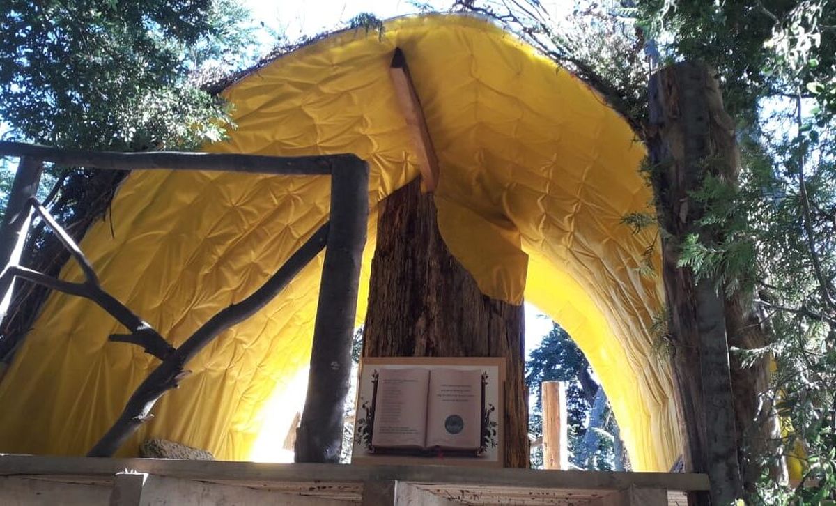 Villa La Angostura: Una Biblioteca sobre un árbol en medio del bosque