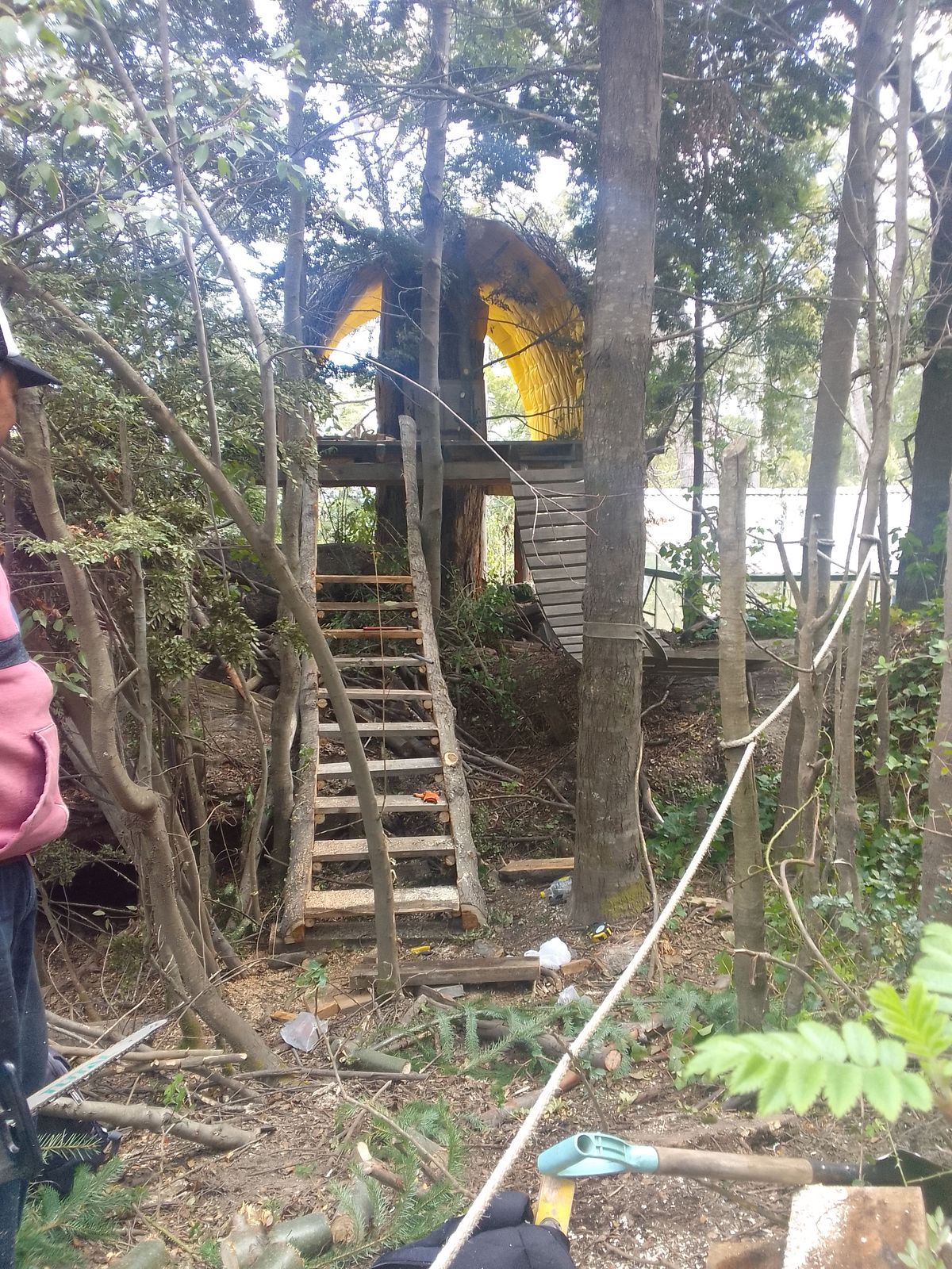Villa La Angostura: Una Biblioteca sobre un árbol en medio del bosque