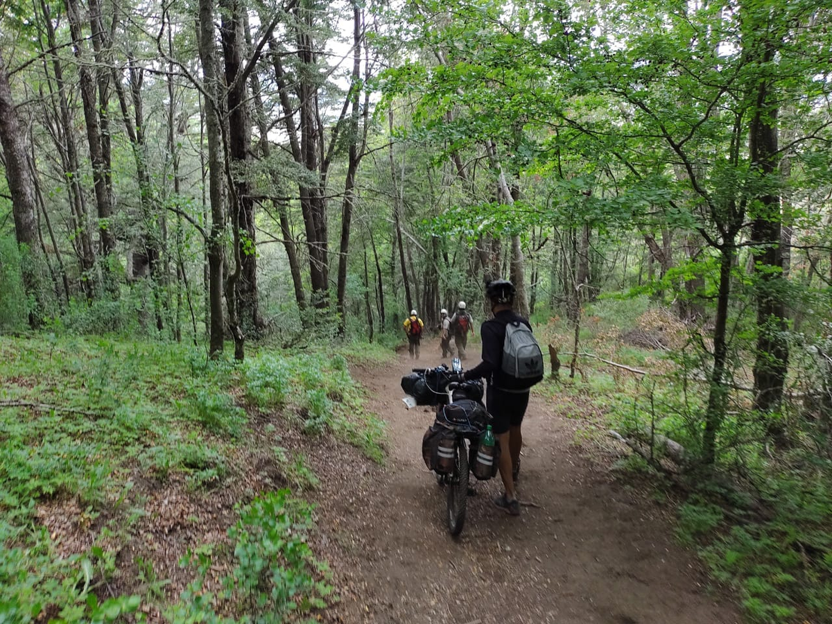 Parque Nacional Lanín: Rescatan a un ciclista perdido