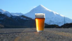 altText(Este fin de semana llega la Fiesta de la Cerveza Artesanal del Sur Neuquino a Junín de los Andes)}