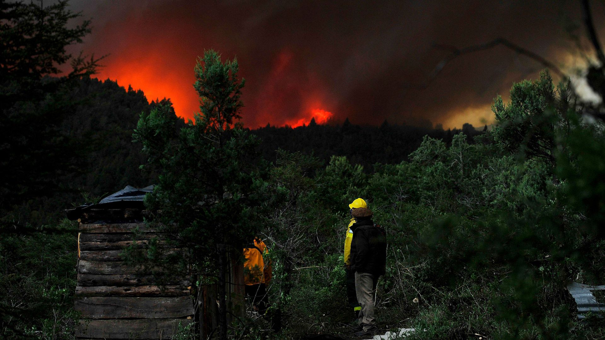 Neuquén: más de 6 mil hectáreas quemadas por los incendios