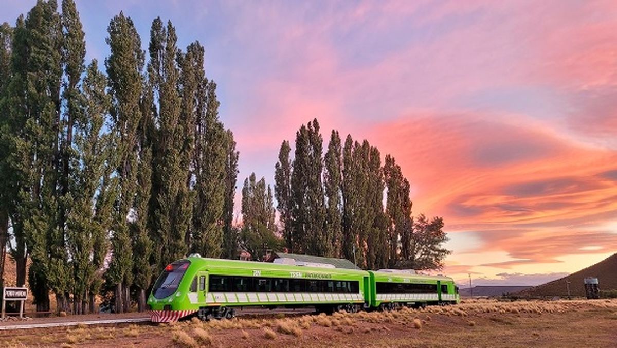 Tren Patagónico: se reanudan los servicios de transporte