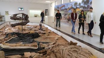 Presentaron en El Chocón uno de los dinosaurios de cuello largo más grandes del mundo