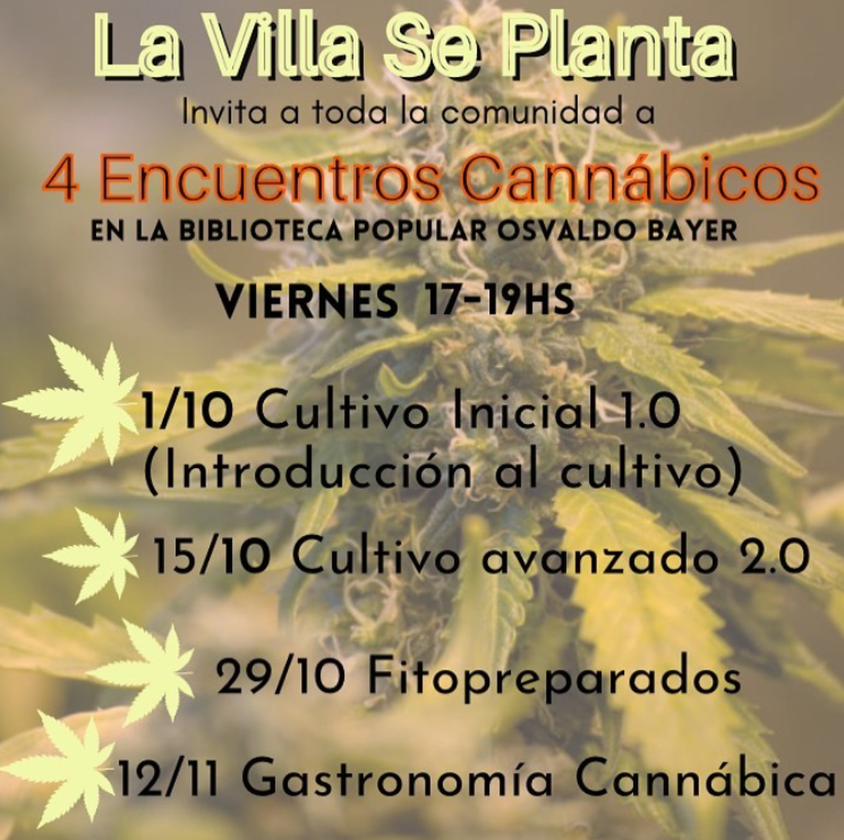 Invitación de La Villa Se Planta a la comunidad de Villa La Angostura.