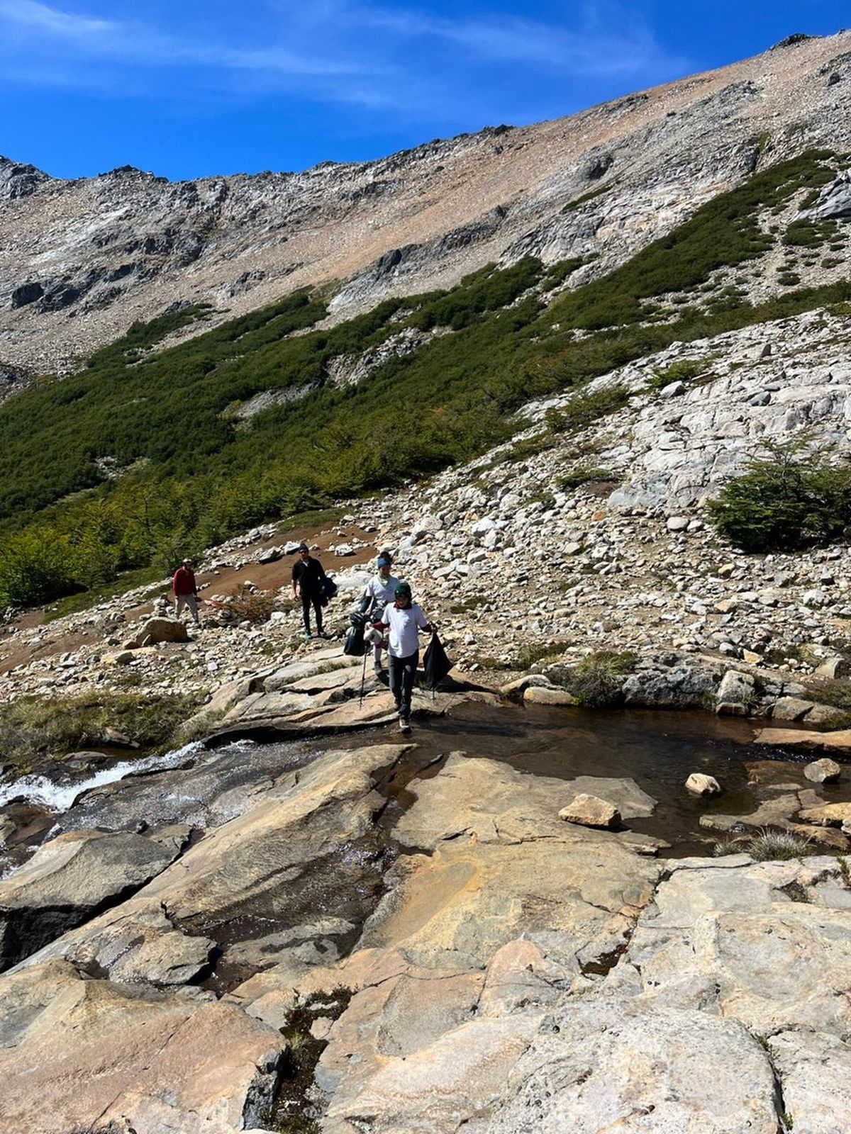Bariloche: Jornadas de cuidado medioambiental en 5 Lagunas
