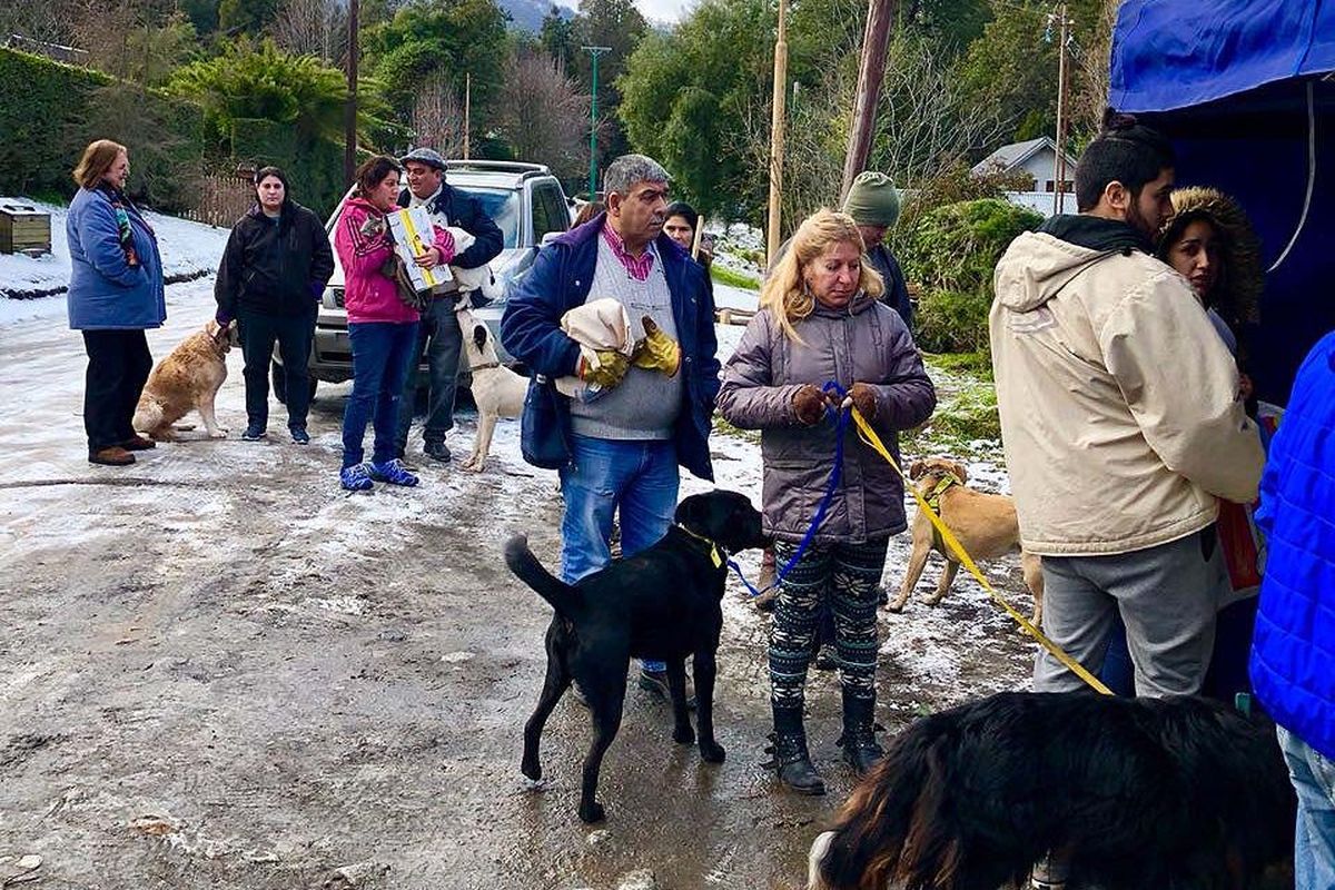 Jornada de vacunación antirrábica y prevención contra la hidatidosis en la zona de 7 lagos