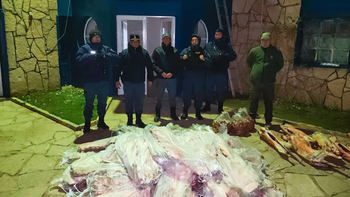 Decomisaron más de 700 kilos de carne que ingresaba a Neuquén ilegalmente
