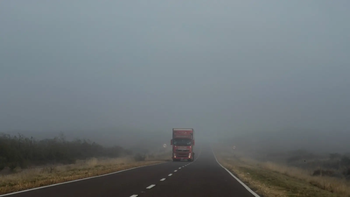 Recomendaciones para conducir durante jornada con neblinas