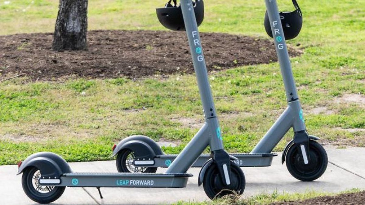 Ambientalistas celebran la regulación de vehículos eléctricos y piensan en futuros generadores de energía sustentables