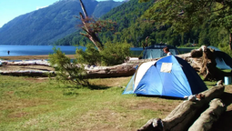 altText(Recomendaciones para acampar y hacer actividades al aire libre)}