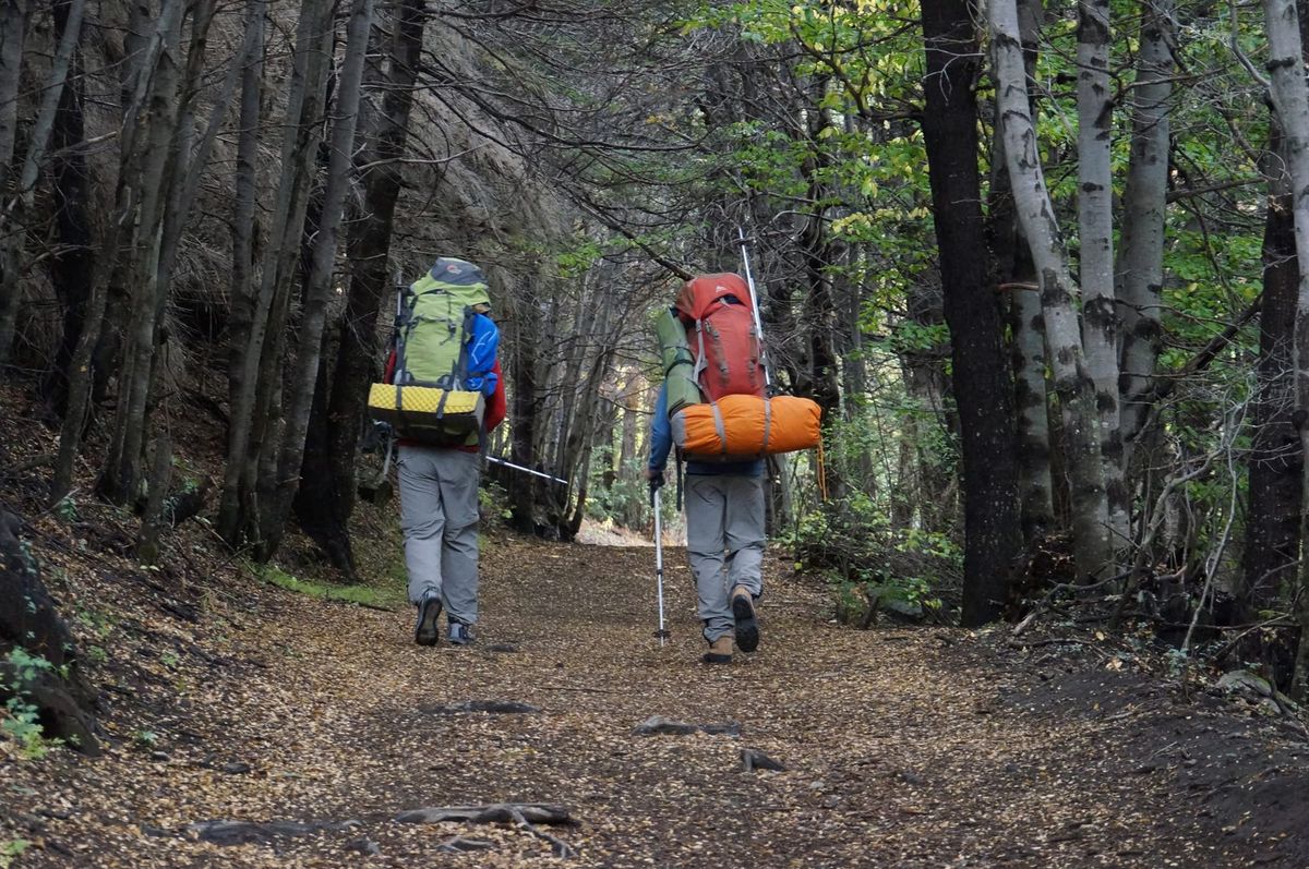 Patagonia: recomendaciones para visitar Parques Nacionales
