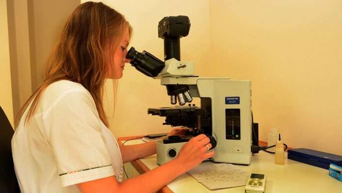 Neuquén: ingresarán 56 nuevos especialistas al Sistema Público de Salud