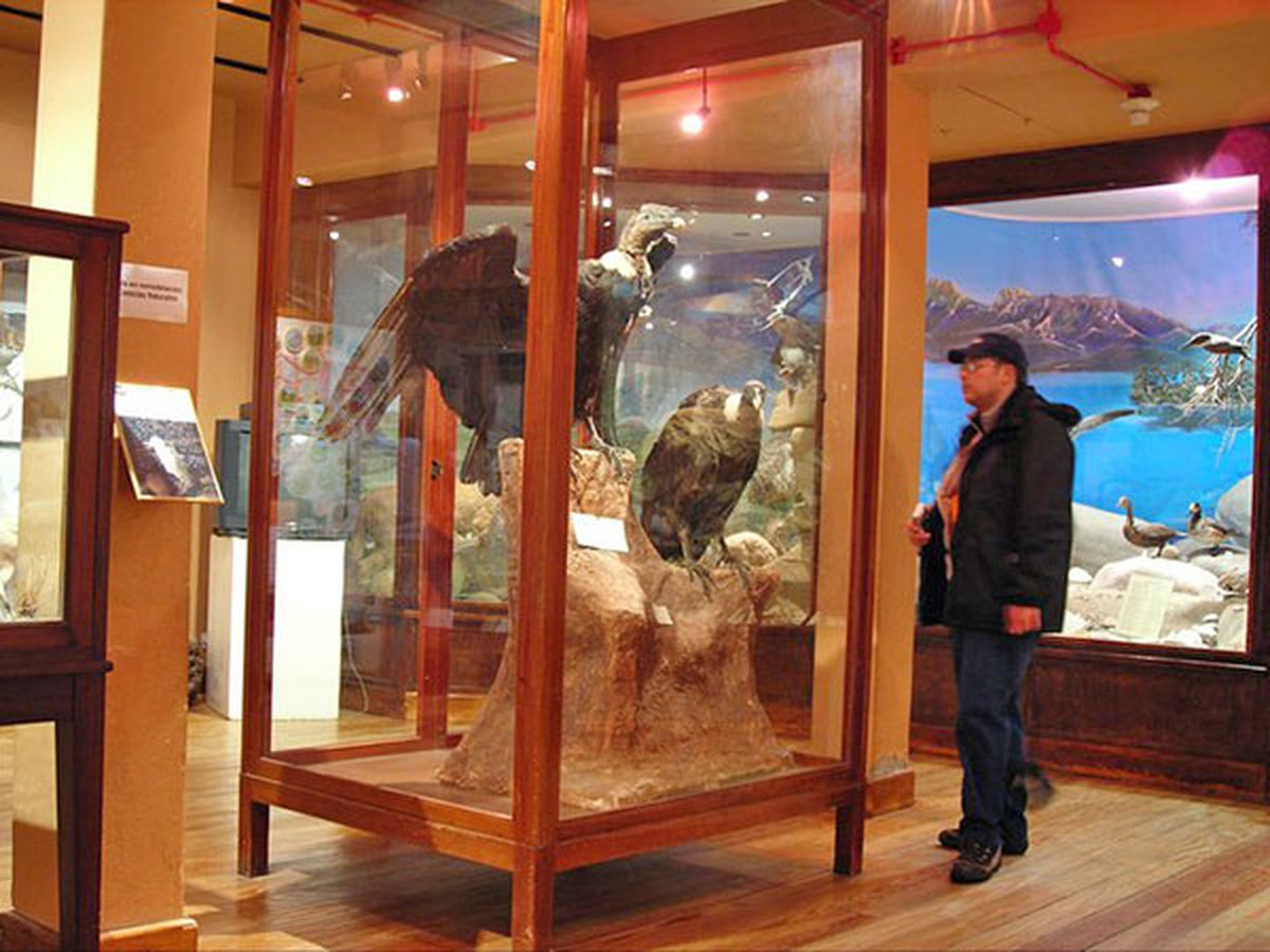 El Museo de la Patagonia cumple su 79º aniversario