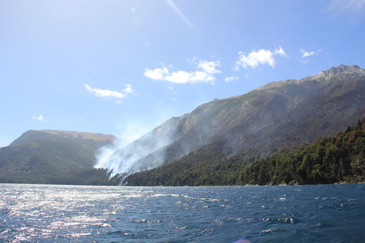 Incendio Brazo Tristeza: siguen las tareas para combatir el fuego en el Parque Nacional