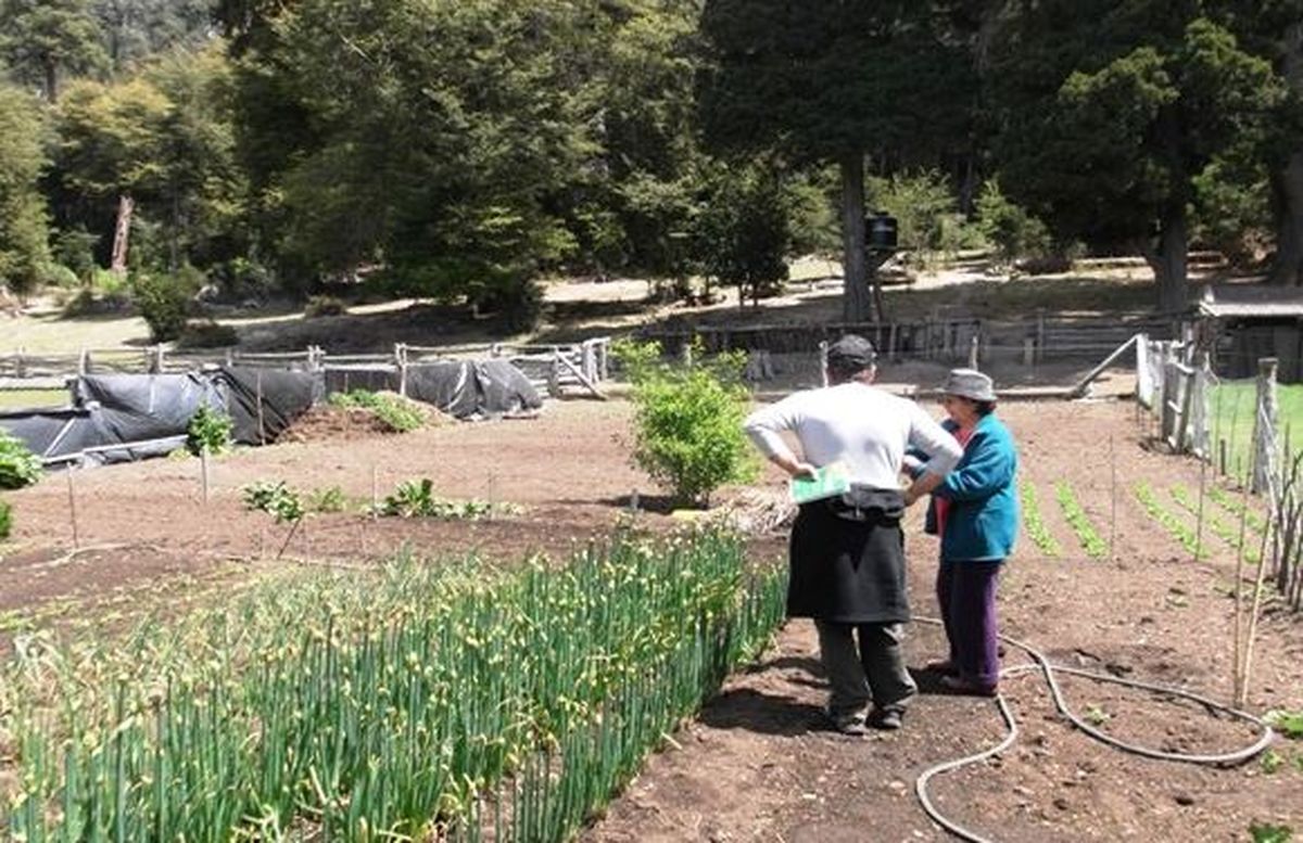Vecinos impulsan campaña de visibilización para la zona de pobladores del Perilago: “hay productores que ya no tienen futuro”