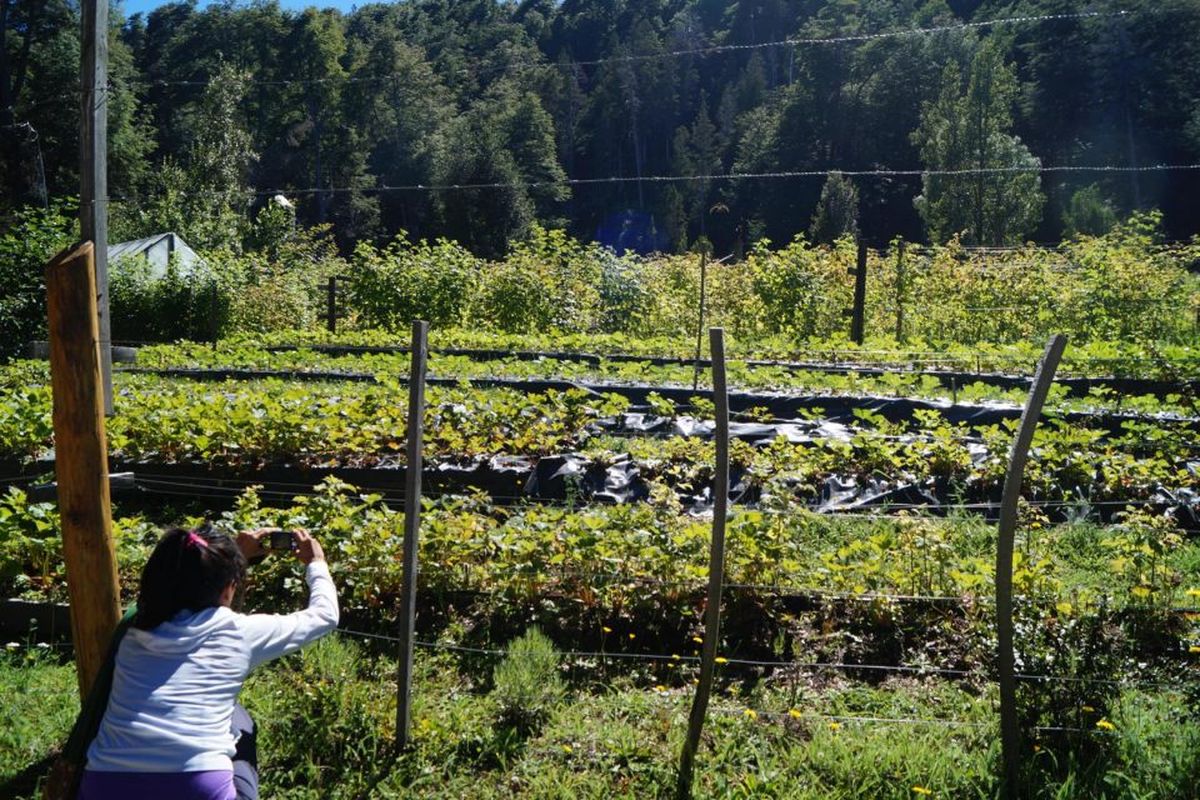 Ecosalud: Llegan talleres en Preparación de Canteros, almácigos y siembra de hortalizas