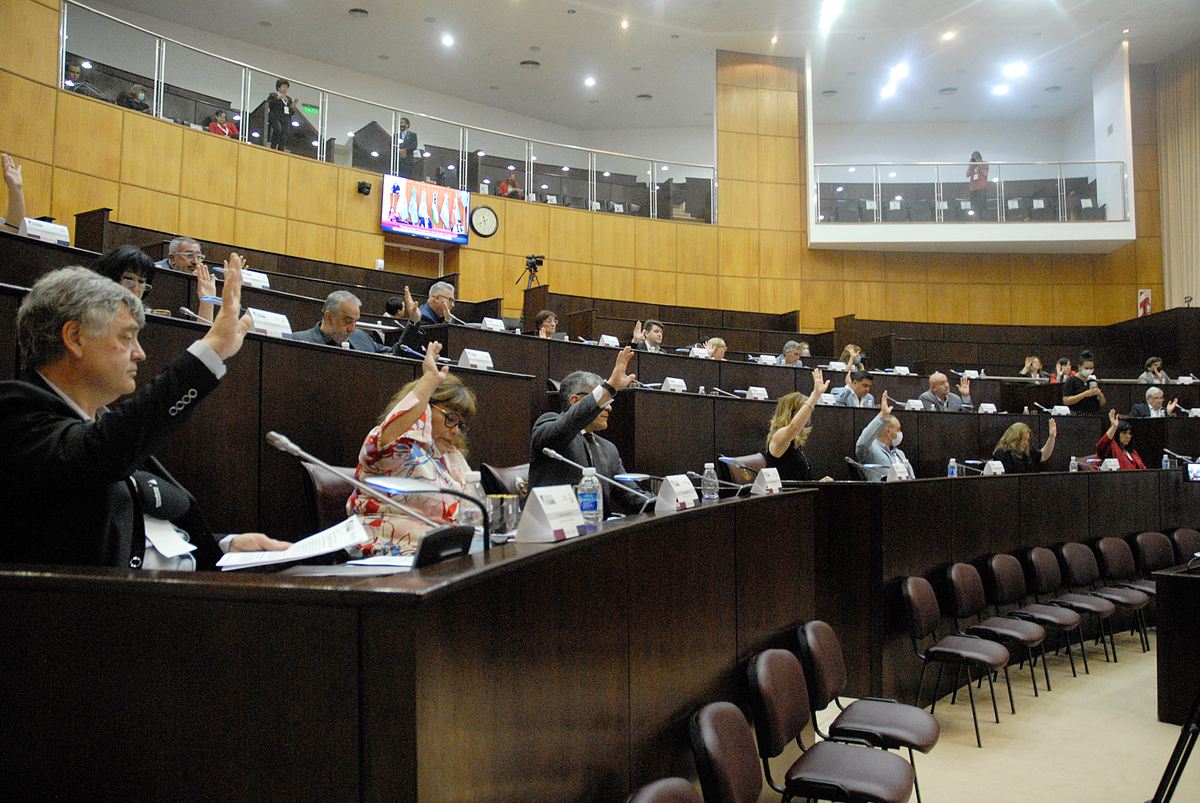 Neuquén: sesionó el Parlamento Patagónico en la Legislatura